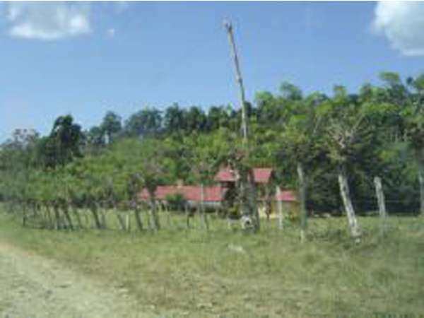 Big Farm Land In Gaspar Hernandez
